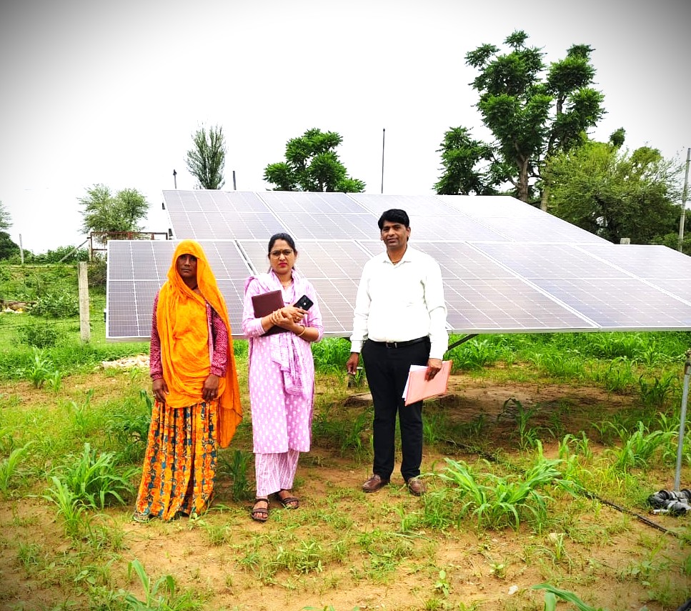 Ground-mounted solar panels in a green farm